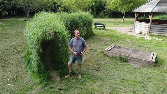 Willow Tunnels